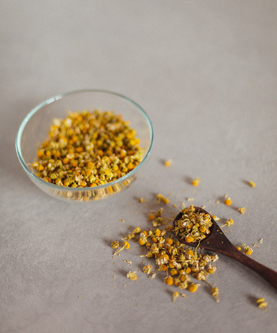 programa consulta psiconeuroinmunologia